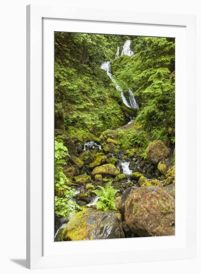 Olympic National Park, Washington. Bunch Creek Tumbling Down to the River-Michael Qualls-Framed Photographic Print