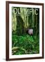 Olympic National Park, Washington - Hoh Rain Forest-Lantern Press-Framed Art Print