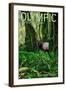 Olympic National Park, Washington - Hoh Rain Forest-Lantern Press-Framed Art Print