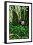 Olympic National Park, Washington - Hoh Rain Forest-Lantern Press-Framed Art Print