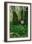 Olympic National Park, Washington - Hoh Rain Forest-Lantern Press-Framed Art Print