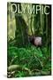 Olympic National Park, Washington - Hoh Rain Forest-Lantern Press-Stretched Canvas