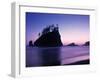 Olympic National Park Washington State Usa-Peter Adams-Framed Photographic Print