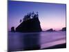 Olympic National Park Washington State Usa-Peter Adams-Mounted Photographic Print