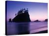 Olympic National Park Washington State Usa-Peter Adams-Stretched Canvas