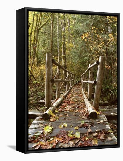 Olympic National Park, Washington, USA-null-Framed Stretched Canvas