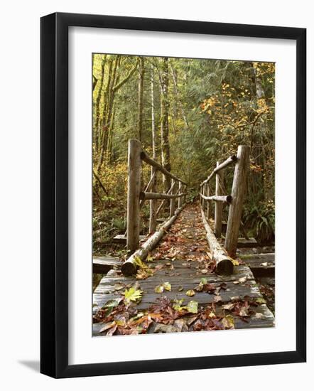 Olympic National Park, Washington, USA-null-Framed Premium Photographic Print