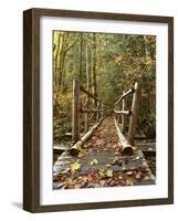 Olympic National Park, Washington, USA-null-Framed Photographic Print