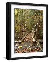 Olympic National Park, Washington, USA-null-Framed Photographic Print