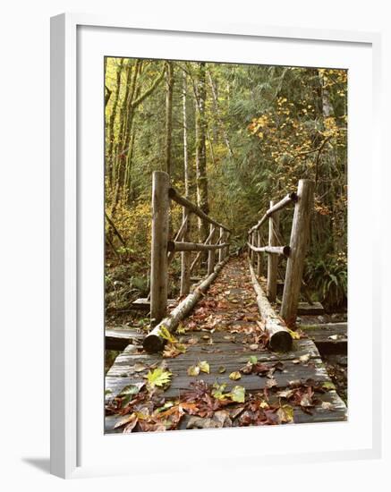 Olympic National Park, Washington, USA-null-Framed Photographic Print