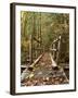 Olympic National Park, Washington, USA-null-Framed Photographic Print