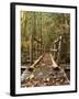 Olympic National Park, Washington, USA-null-Framed Photographic Print