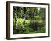 Olympic Pk, WA-J.D. Mcfarlan-Framed Photographic Print