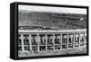 Olympic Stadium, Berlin, 1936-null-Framed Stretched Canvas