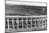 Olympic Stadium, Berlin, 1936-null-Mounted Premium Giclee Print