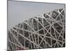 Olympic Stadium Called the Bird's Nest, Beijing, China-Angelo Cavalli-Mounted Photographic Print