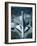 Olympic Stadium Montreal-null-Framed Photographic Print
