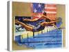 Olympic Swimmers-Michael Dudash-Stretched Canvas