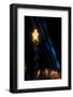 Olympic torch at night during the 2002 Winter Olympics, Salt Lake City, UT-null-Framed Photographic Print