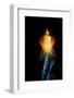 Olympic torch at night during the 2002 Winter Olympics, Salt Lake City, UT-null-Framed Photographic Print