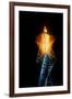 Olympic torch at night during the 2002 Winter Olympics, Salt Lake City, UT-null-Framed Photographic Print