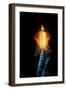 Olympic torch at night during the 2002 Winter Olympics, Salt Lake City, UT-null-Framed Photographic Print