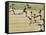 Olympics, 1932, Men 100M-null-Framed Stretched Canvas