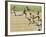 Olympics, 1932, Men 100M-null-Framed Photographic Print