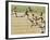 Olympics, 1932, Men 100M-null-Framed Photographic Print