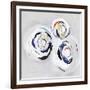 Olympus III-PI Studio-Framed Premium Giclee Print