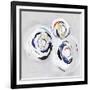 Olympus III-PI Studio-Framed Premium Giclee Print