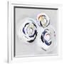 Olympus III-PI Studio-Framed Art Print