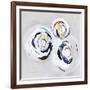 Olympus III-PI Studio-Framed Art Print