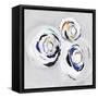 Olympus III-PI Studio-Framed Stretched Canvas