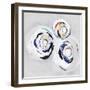 Olympus III-PI Studio-Framed Art Print