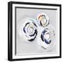 Olympus III-PI Studio-Framed Art Print