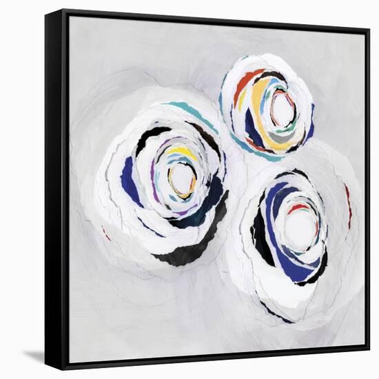 Olympus III-PI Studio-Framed Stretched Canvas