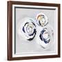 Olympus III-PI Studio-Framed Art Print