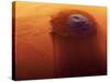 Olympus Mons, Mars-Detlev Van Ravenswaay-Stretched Canvas