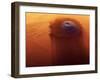 Olympus Mons, Mars-Detlev Van Ravenswaay-Framed Photographic Print