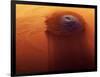 Olympus Mons, Mars-Detlev Van Ravenswaay-Framed Photographic Print