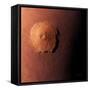 Olympus Mons, Morning View-Detlev Van Ravenswaay-Framed Stretched Canvas
