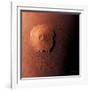 Olympus Mons, Morning View-Detlev Van Ravenswaay-Framed Photographic Print