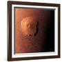 Olympus Mons, Morning View-Detlev Van Ravenswaay-Framed Photographic Print