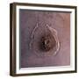 Olympus Mons, the Largest known Volcano in the Solar System-Stocktrek Images-Framed Photographic Print