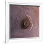 Olympus Mons, the Largest known Volcano in the Solar System-Stocktrek Images-Framed Photographic Print