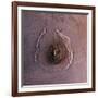 Olympus Mons, the Largest known Volcano in the Solar System-Stocktrek Images-Framed Photographic Print