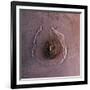 Olympus Mons, the Largest known Volcano in the Solar System-Stocktrek Images-Framed Photographic Print