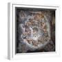 Olympus-Giulio Romano-Framed Premium Giclee Print