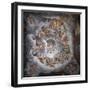 Olympus-Giulio Romano-Framed Giclee Print